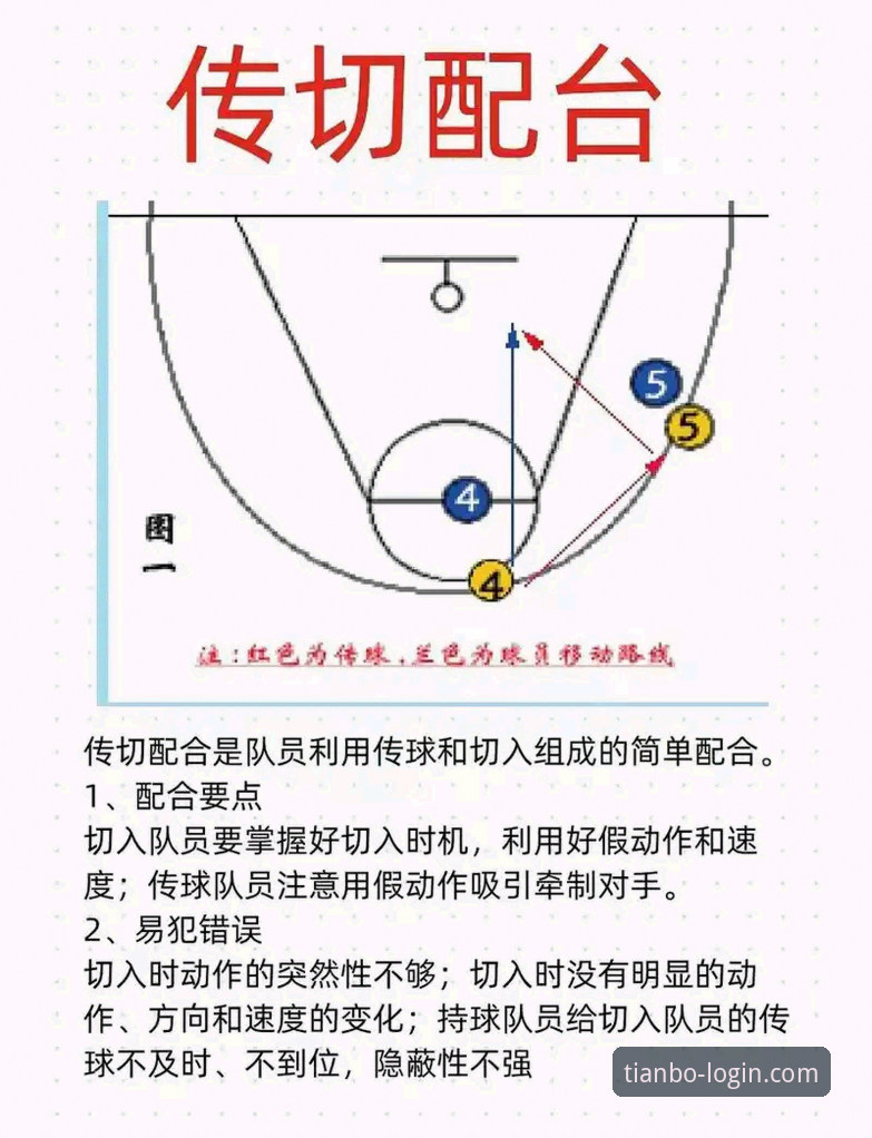 深度剖析NBA反摆烂新政：从规则演变到赛事观赏性的全面解读教程