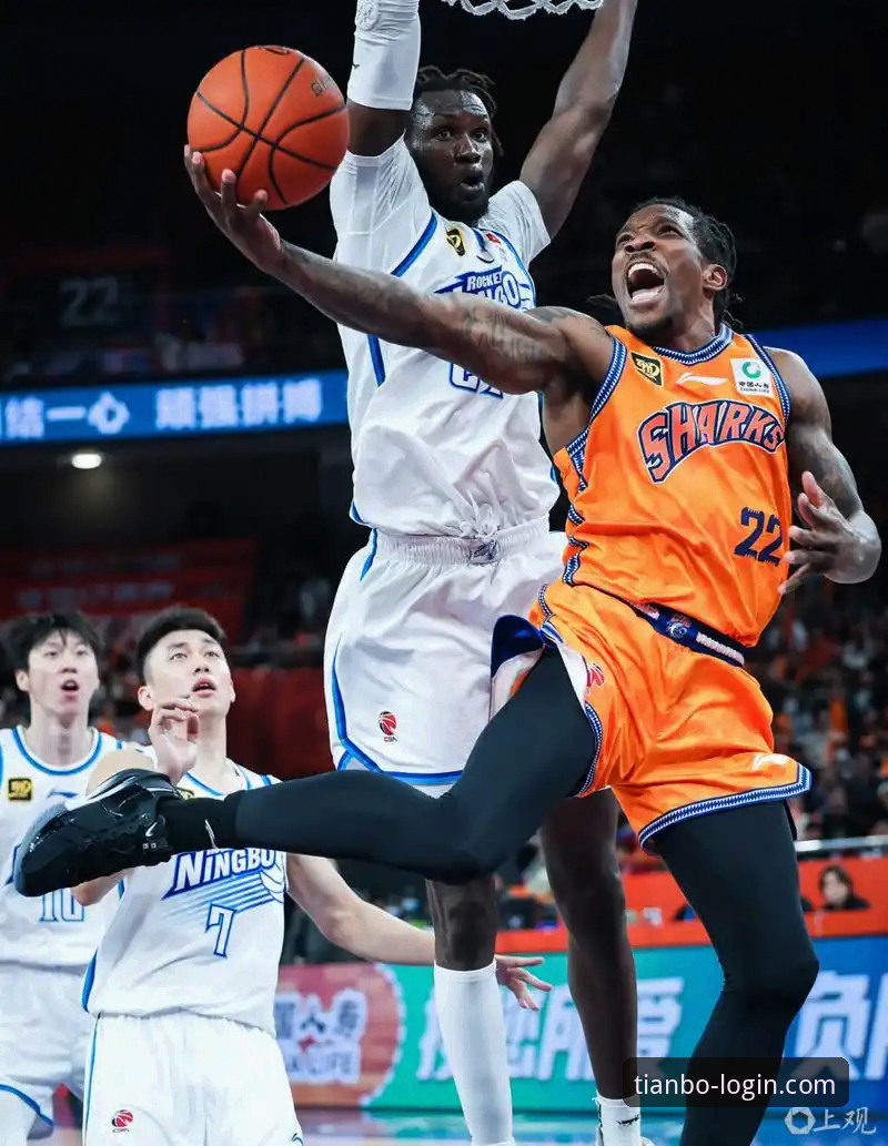 上海男篮十二连胜霸业深度评测：从数据洞察到平台体验的全面解析